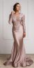 Main image of Fitted & Embellished Full Sleeve Prom Gown